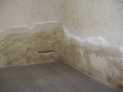 Feuchtigkeitsschäden im unteren Bereich einer Kellerwand